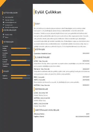 Öğrenci Cv Örnekleri cv indir